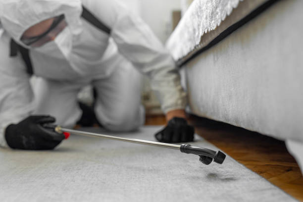 Professional Termite Control technician working in Glen Raven, NC