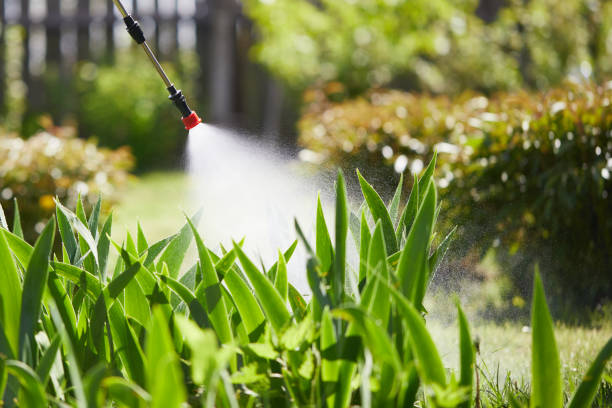 24/7 Emergency Termite Control experts in Glen Raven, NC
