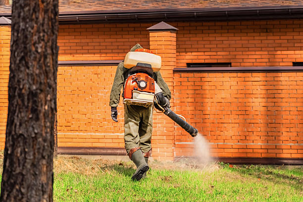 Trusted Ant Control service in Glen Raven, NC - Nex Pest Control